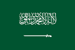 سعودي عرب كښې  د يمني وګړو  قيام قانوني ګرځولو لپاره سپارښتنه